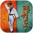 أيقونة البرنامج: Taekwondo Pro