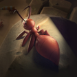 Иконка программы: Ant Civilization
