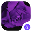 Purple-APUS Launcher theme