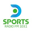 程序图标：DSPORTS Radio