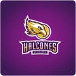 Halcones de Xalapa icon