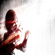 Ikon program: The Evil Within: The Assi…