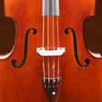 Icon of program: Professional Double Bass