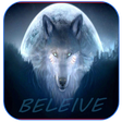 Ícone do programa: Wolf Wallpapers &  Wolves…