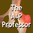 The AP Professor  TAPPradio