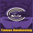 プログラムのアイコン：Tamas Awakening
