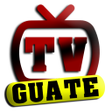 プログラムのアイコン：TV GUATE DIGITAL