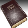程序图标：Daily Bible Read