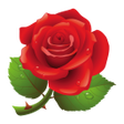 プログラムのアイコン：Mothers day photo sticker…