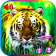 3D Animals Sounds & Wallpapers