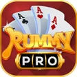 رمز البرنامج: RummyPro