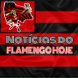 程序图标：FLA NEWS - Notícias e Jog…