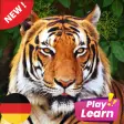Learn Animals in German