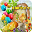 プログラムのアイコン：Frohe Ostern Bilder
