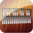 Icon of program: Professional Xylophone