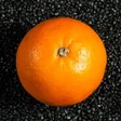 5 A Day Tracker icon