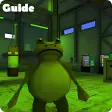 Guide for Simulator Frog 2 City
