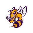 Icoon van programma: Chester ISD