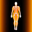 Icon of program: Body fat calculator  a fo…
