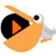 PallyCon LicenseCipher For Chrome icon