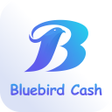 程序图标：Bluebird Cash