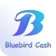 Bluebird Cash