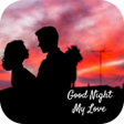 程序图标：Good Night Love Messages