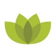 プログラムのアイコン：Wellbeing Pharmacy