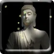 Buddha Fireflie Live Wallpaper