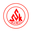 Ikon program: SSK Sorgulama