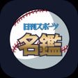 Ikona programu: 日刊スポーツ　プロ野球選手名鑑タップ2023