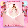 程序图标：Quinceañera invitations m…