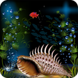 程序图标：Aquarium Live Wallpaper