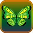 Иконка программы: ButterflyLink
