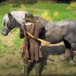 أيقونة البرنامج: Horse Games: Wild Horse S…