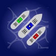 أيقونة البرنامج: Sea Battle: Fleet Command