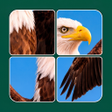 プログラムのアイコン：Jigsaw Solitaire: Slide P…