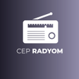 Icon of program: Pocket Radio - Internet R…