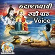 رمز البرنامج: रुद्राष्टाध्यायी (Voice),…