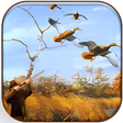 Ikona programu: Wild Duck Hunter 3D - Rea…