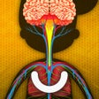 Programın simgesi: How does The Human Body W…
