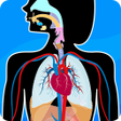 Icon of program: Anatomix - Human Anatomy