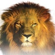 Icoon van programma: SHOFAR app