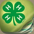 Symbol des Programms: 4-H Livestock Record
