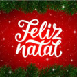 Icon of program: São João Natal e Ano Novo