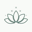 プログラムのアイコン：Brisa Therapeutics