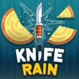 أيقونة البرنامج: Knife Rain