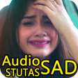Icon of program: Sad Audio Status Offline