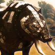 Ícone do programa: Boar King Life Simulator