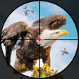 Ikona programu: Wild Bird hunter: Shooter…